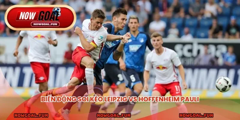 Biến động soi kèo Leipzig vs Hoffenheim Pauli