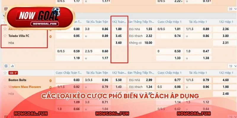Các loại kèo cược phổ biến và cách áp dụng trong nhận định