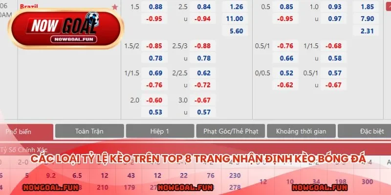 Các loại sảnh cược và tỷ lệ kèo trên top 8 trang nhận định kèo bóng đá