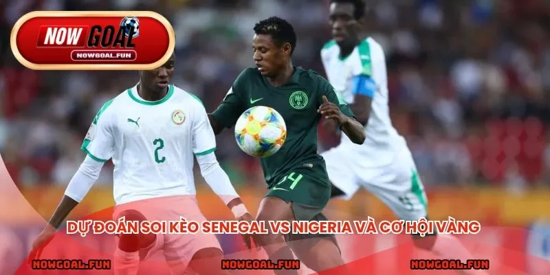 Dự đoán soi kèo Senegal vs Nigeria và cơ hội vàng