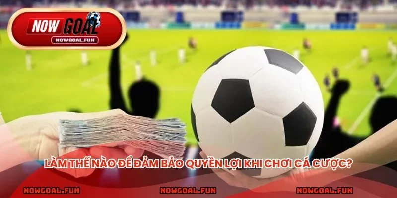 Làm thế nào để đảm bảo quyền lợi khi chơi cá cược?