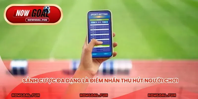 Sảnh cược đa dạng là điểm nhấn thu hút người chơi cá cược bóng đá
