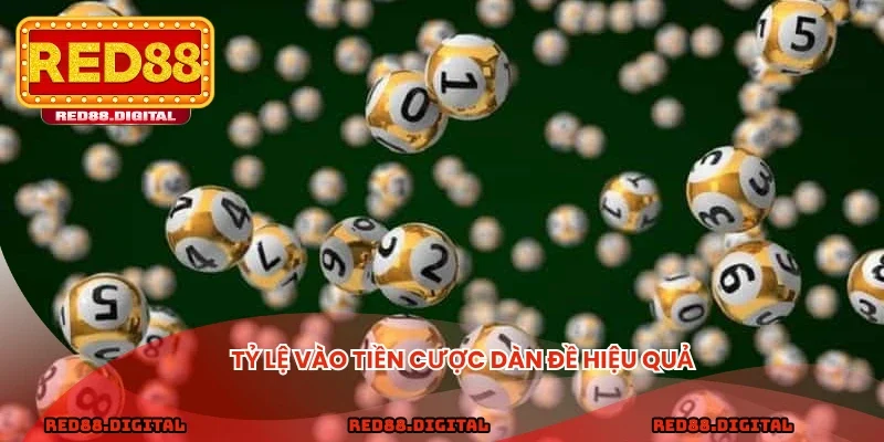 Tỷ lệ vào tiền cược dàn đề hiệu quả