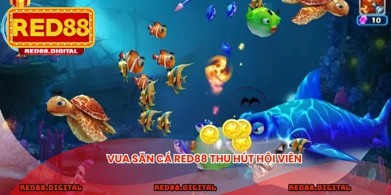 Vua săn cá NOWGOAL thu hút hội viên